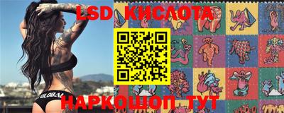 mdpv Братск