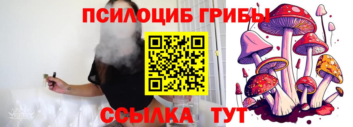 Белогорск  где купить наркоту  Галлюциногенные грибы GOLDEN TEACHER  Вход с VPN  Галлюциногенные грибы прущие грибы 